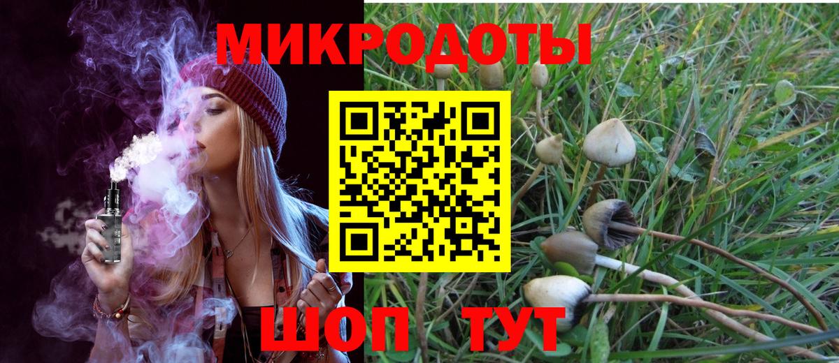 Холмск  Галлюциногенные грибы GOLDEN TEACHER  Вход с VPN 